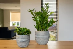 TS Blumentopf Dex weiß / grau D 22 H 20 cm