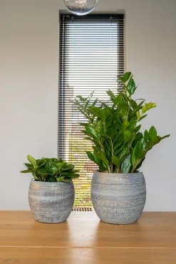 TS Blumentopf Dex weiß / grau D 19 H 16 cm