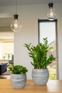 TS Blumentopf Dex weiß / grau D 17 H 13 cm