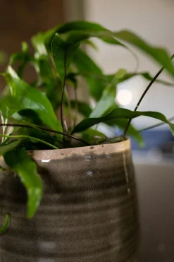 TS Blumentopf Iris grün D 26 H 21 cm