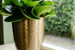 TS Blumentopf mit Fuß Lauren gold D 15 H 24 cm