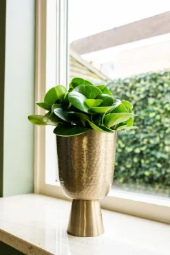 TS Blumentopf mit Fuß Lauren gold D 12 H 19 cm