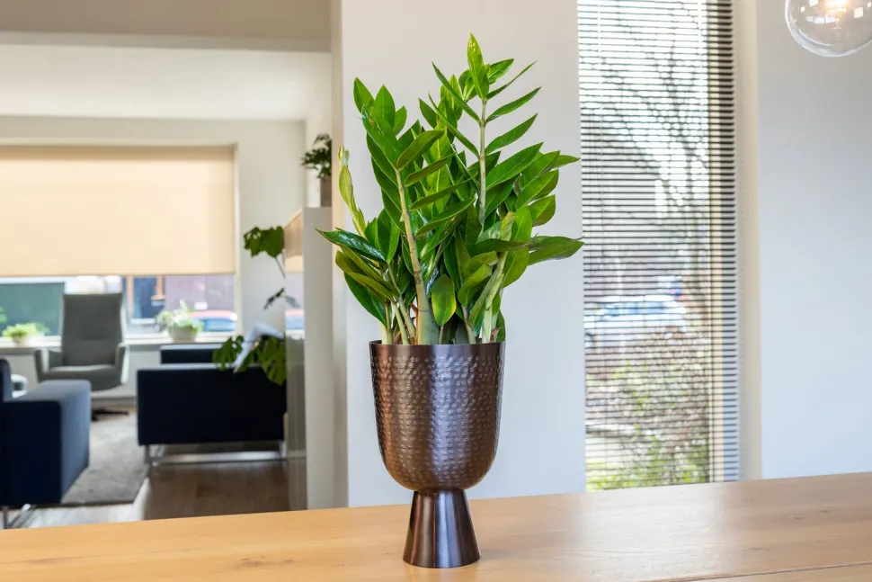 TS Blumentopf mit Fuß Lauren grau D 12 H 19 cm