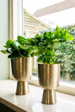 TS Blumentopf mit Fuß Lauren gold D 18 H 28 cm