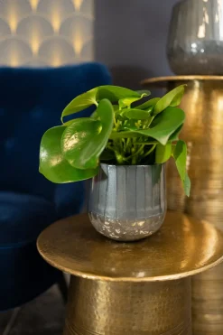 TS Blumentopf Ninthe grau D 29 H 25 cm