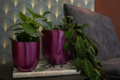 TS Blumentopf Nori D 11 H 11 cm violett