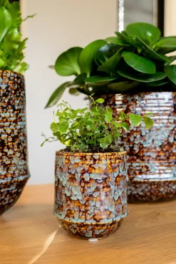 TS Blumentopf Noud braun / mint D 26 H 22 cm