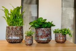 TS Blumentopf Noud braun / mint D 14 H 13 cm