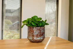 TS Blumentopf Noud braun / mint D 14 H 13 cm