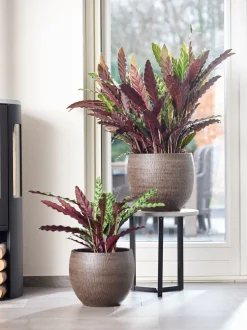 TS Blumentopf Owen D 28 cm H 25 cm braun