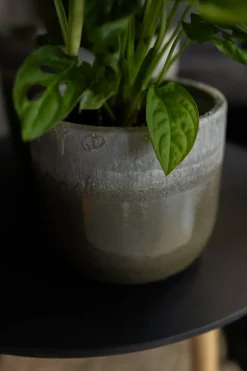 TS Blumentopf Tara grün / grau D 29 H 25 cm