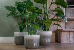 TS Blumentopf Tara grün / grau D 18 H 25 cm