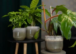 TS Blumentopf Tara grün / grau D 18 H 25 cm