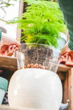 TS Pflanztopf Lucas transparent D 32 H 24 cm