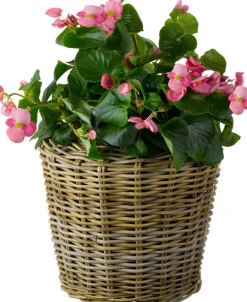 Van der Leeden Pflanzkorb hoch mit Henkeln D 45 cm H 40 cm