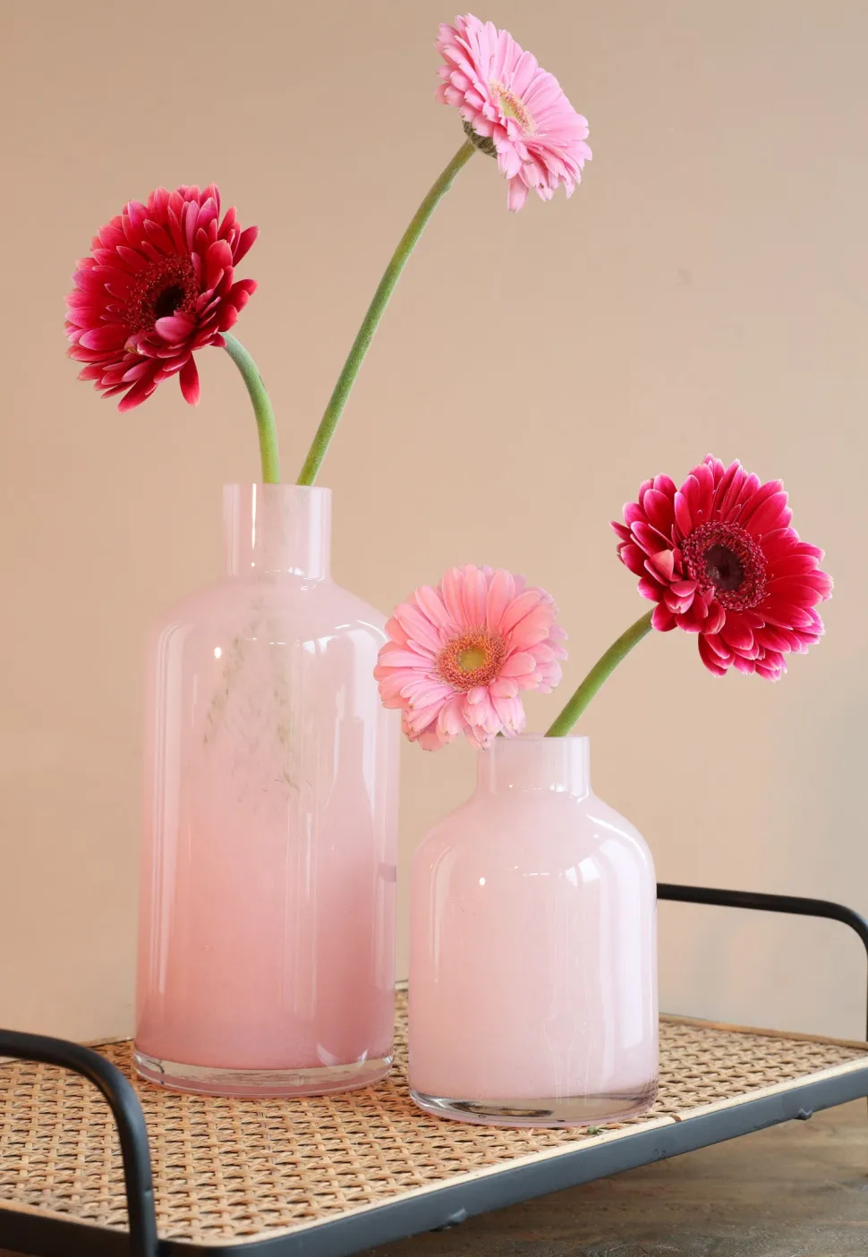 Vase Lupin rosa D 10 H 15 cm