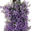 Wandhänger Dalmatiner Glockenblume (Campanula portenschlagiana 'Ambella Purple') D 60 H 25 cm