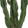 Wolfsmilch (Euphorbia erytrea) D 27 H 135 cm
