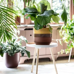 WOOOD Beistelltisch Sasha weiß D 41 H 41 cm