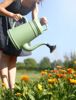 Xala Gießkanne Lungo 12 l grün